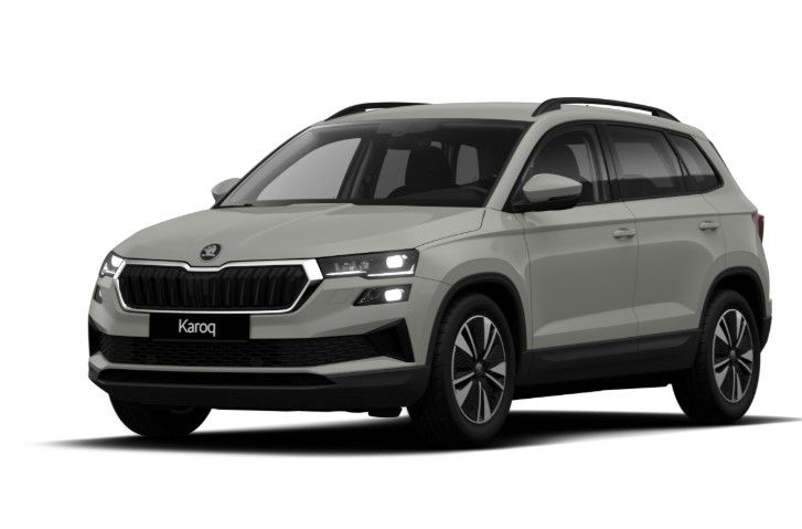 Skoda Karoq Selection DSG AHK Navi LED Kamera DplBoden